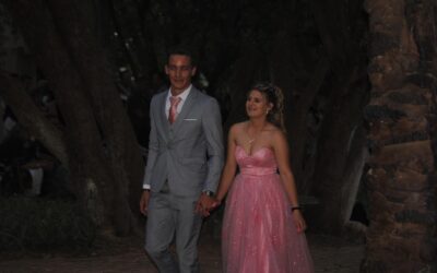 Matrieks Skitter Op Rooitapyt