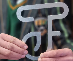 Dit is nou uiteindelik tyd om die aap uit die mou te laat …